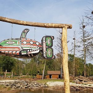 Theming around wolf and bear enclosure