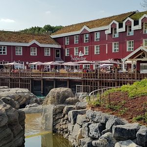 Steller sealion exhibit with restaurant and hotel in background
