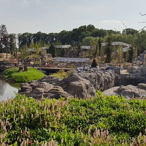 Overview of new north America area