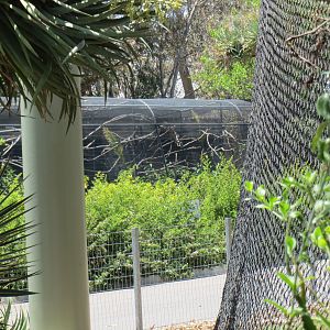 Bird-of-Paradise Exhibit
