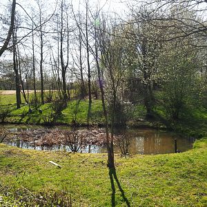 Eurasian crane - European white stork exhibit, 2019-03-30