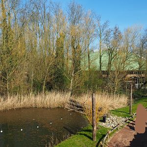 Park view, 2019-03-30