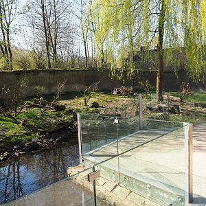 Eurasian otter exhibit, 2019-03-30