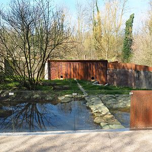 Eurasian otter exhibit, 2019-03-30