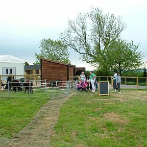Pets@Twycross contact area at Twycross 25/05/09