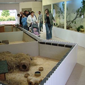 Pets@Twycross at Twycross 25/05/09