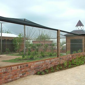 Finch Aviary at Twycross 25/05/09
