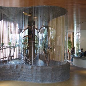 Entry with Tree Kangaroo Exhibit