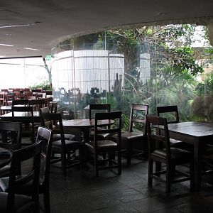 Cafe Overlooking Mundo Maya Exhibit