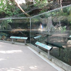 River Otter Exhibit