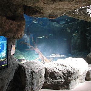 Aquarium