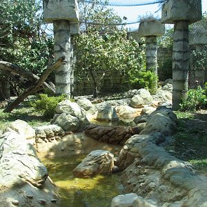 Tropics of the Americas Jaguar Exhibit