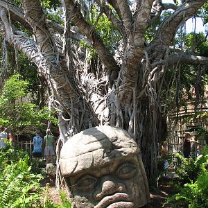 Tropics of the Americas