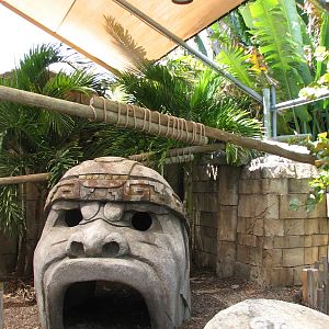 Tropics of the Americas Play Area