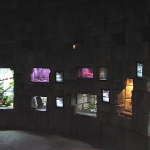 Tropics of the Americas Temple Interior