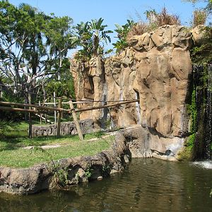 Tropics of the Americas Primate Island