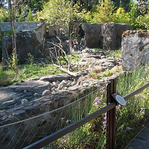 Asia Trail Small Clawed Otter Exhibit