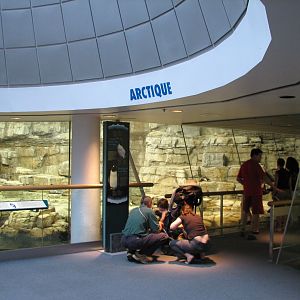 Arctic and Antartic Exhibits