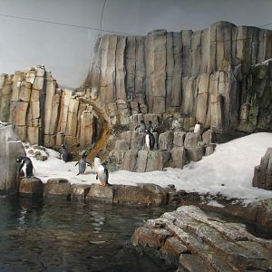 Arctic and Antartic Exhibits