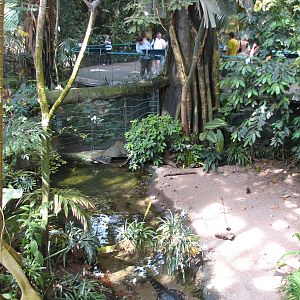 Tropical Forest Exhibit