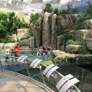 St. Laurence Marine Ecosystem Exhibit