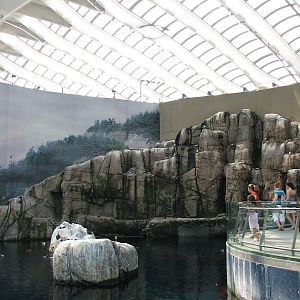 St. Laurence Marine Ecosystem Exhibit