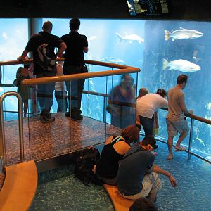St. Laurence Marine Ecosystem Exhibit