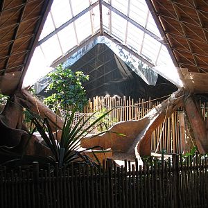 African Rainforest Pavilion Gorilla Exhibit