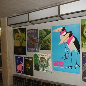 Zoo Posters