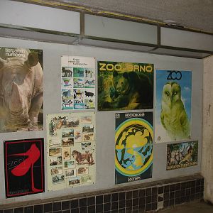 Zoo Posters