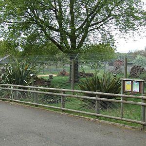 Striped Hyena exhibit photos