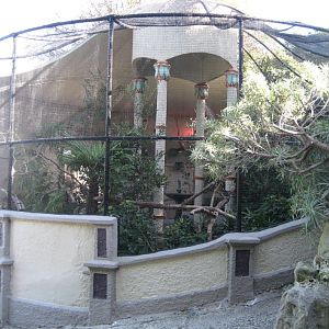 Moore Park Aviary