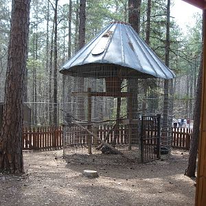 typical bird enclosure