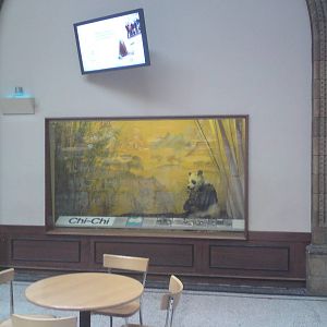 Chi-Chi display, Natural History Museum