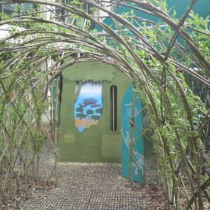 Butterfly Jungle, Natural History Museum
