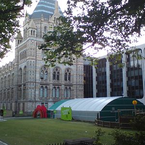 Butterfly Jungle, Natural History Museum