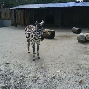 Jutland's Park Zoo