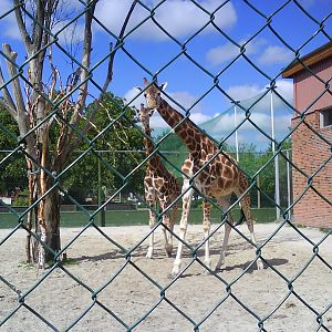 Jutland's Park Zoo