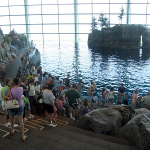 Oceanarium
