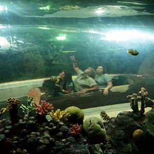 aquarium log ride, May 25, 2009