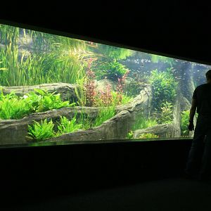 Tropen Aquarium 6