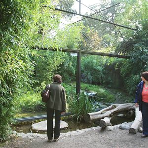 Enclosure for Chinese leopards