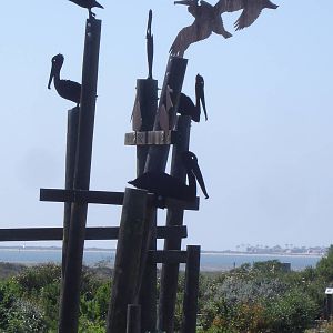 Pelican Sculpture