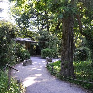 Lemur Walkthrough at Duisburg, 17/06/19