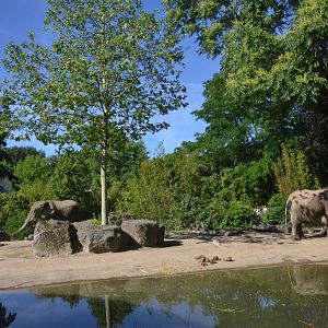 Elephant Enclosure at Duisburg, 17/06/19