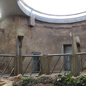 Elephant House Interior at Duisburg, 17/06/19