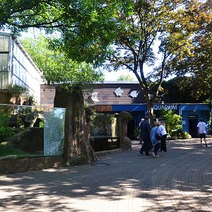 Giant Otter Enclosure and Aquarium at Duisburg, 17/06/19