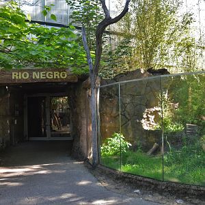 Rio Negro at Duisburg, 17/06/19