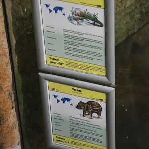 Paca/Caiman Lizard Mixed Exhbit Signage at Duisburg, 17/06/19