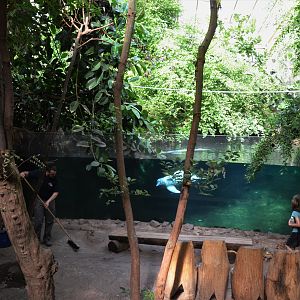 Rio Negro at Duisburg, 17/06/19